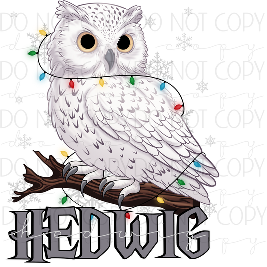 DTF TRANSFER|HP OWL|396